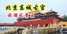 日韩美女野外大尺度写真中国北京-东城古宫旅游风景区